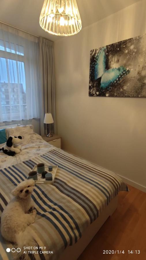 Apartamento Fregata Jastrzębia Góra Exterior foto